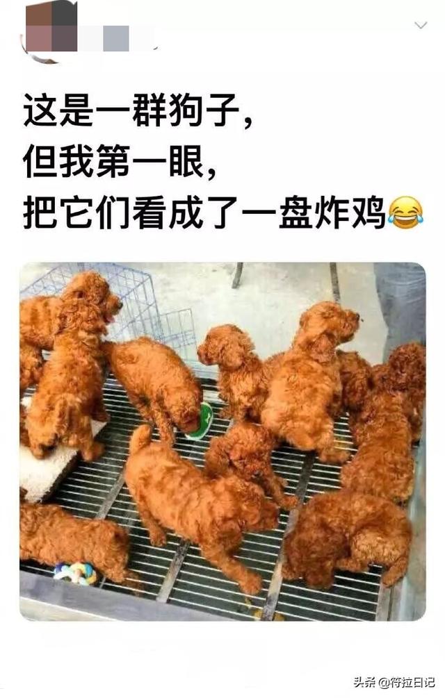 笑死了,第一天当保安,一辆奥迪乱停我给他锁了 网友:建议你辞职 笑死了,第一天当保安,一辆奥迪乱停我给他锁了 网友:建议你辞职