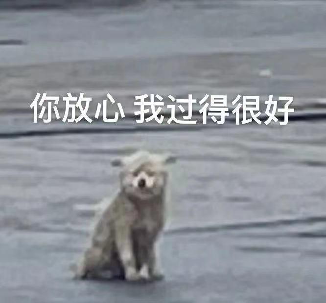 轻松一秒:男人搭讪千千万,唯有这个我想不到! 轻松一秒:男人搭讪千千万,唯有这个我想不到!