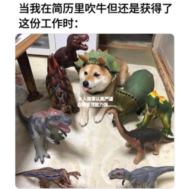 “你知道少林寺为什么不买空调吗?”哈哈哈,我差点笑晕过去了 “你知道少林寺为什么不买空调吗?”哈哈哈,我差点笑晕过去了