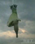 飞起来的白萝卜。 飞起来的白萝卜。