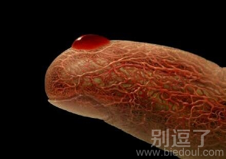 一个人的手指。。 一个人的手指。。