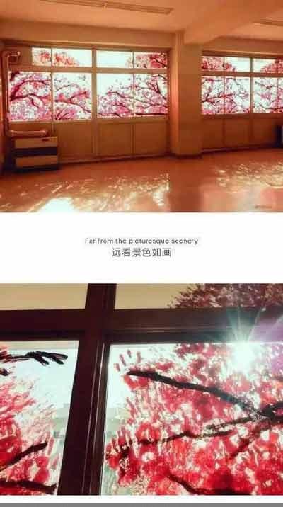 远看景色如画近看吓死宝宝了 远看景色如画近看吓死宝宝了