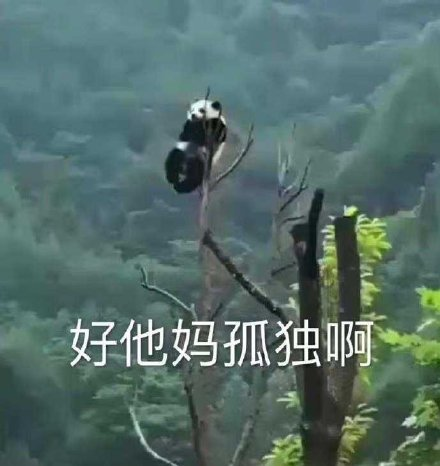 轻松一刻：冬天去女友家，她为什么把我羽绒服洗了？