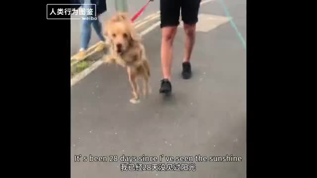 轻松一刻：冬天去女友家，她为什么把我羽绒服洗了？