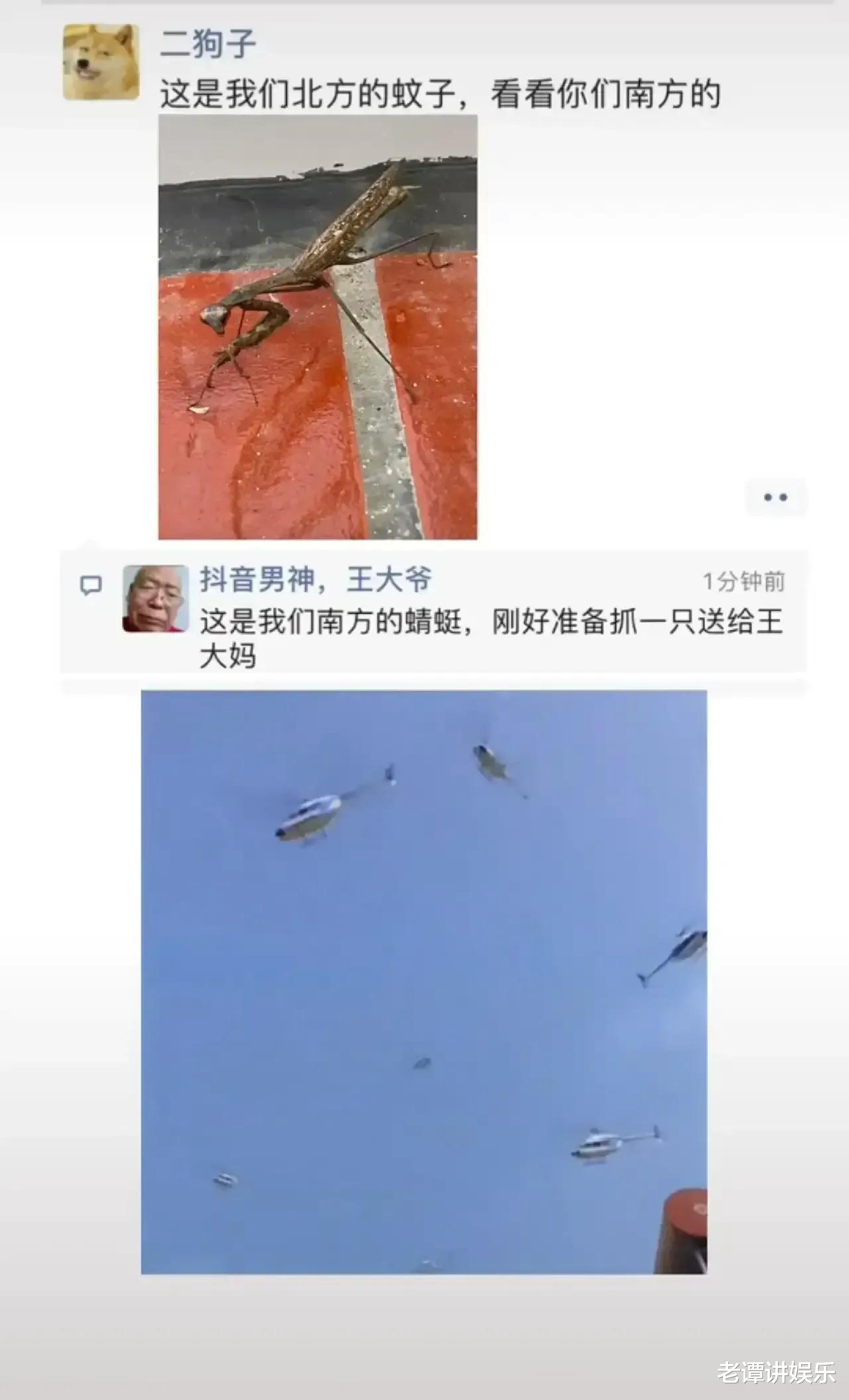 神回复:全世界一共有198面旗,为何没有国家用紫色?神评绝了 神回复:全世界一共有198面旗,为何没有国家用紫色?神评绝了