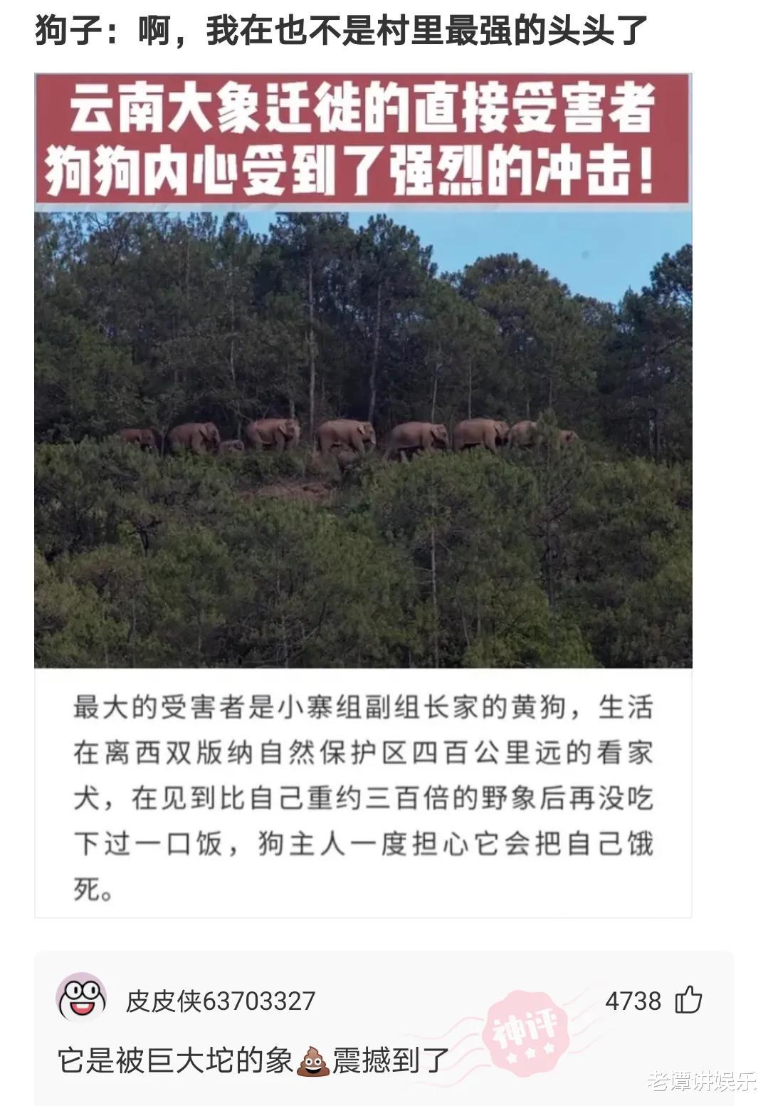 神回复:全世界一共有198面旗,为何没有国家用紫色?神评绝了 神回复:全世界一共有198面旗,为何没有国家用紫色?神评绝了
