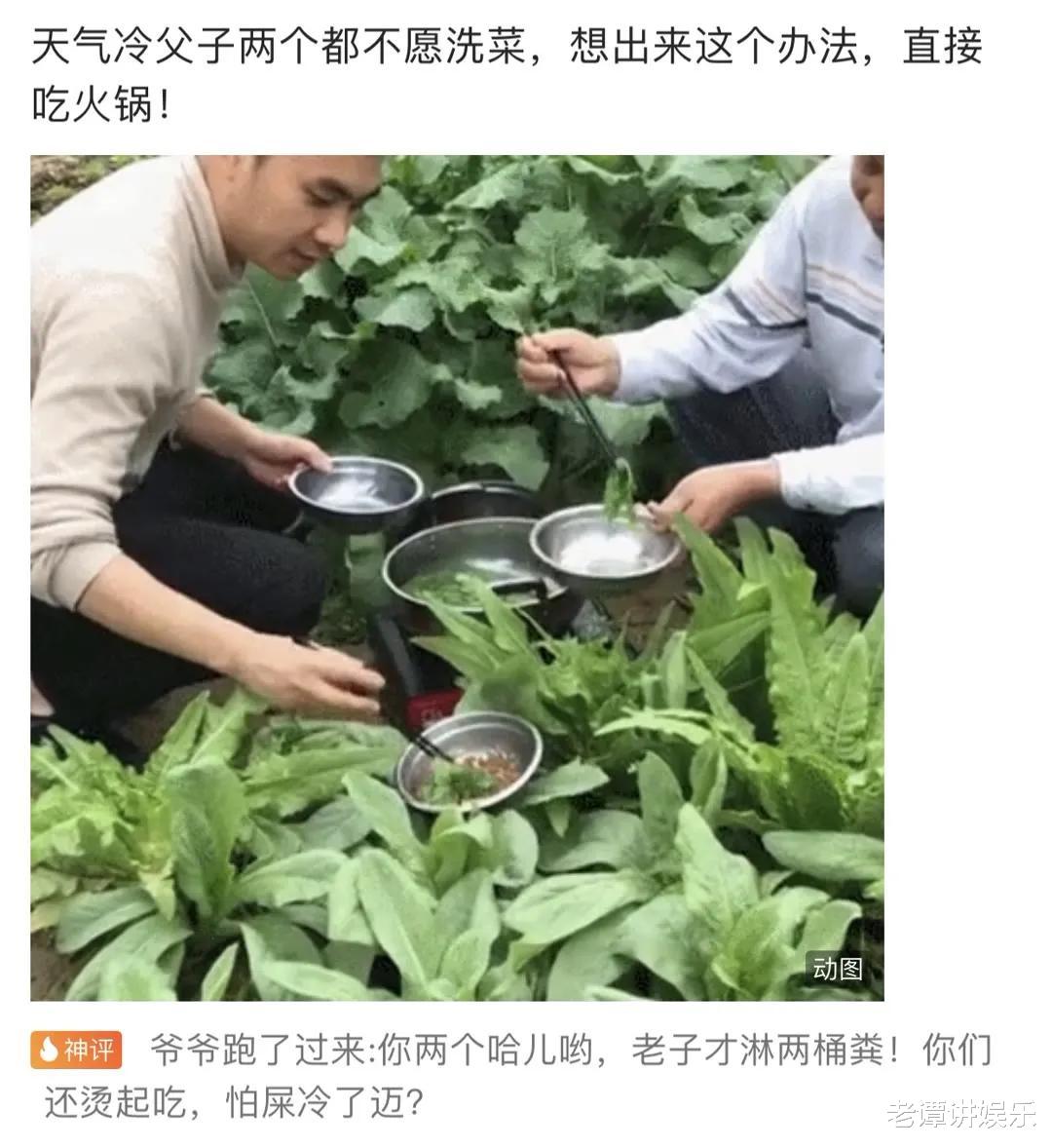 神回复:全世界一共有198面旗,为何没有国家用紫色?神评绝了 神回复:全世界一共有198面旗,为何没有国家用紫色?神评绝了