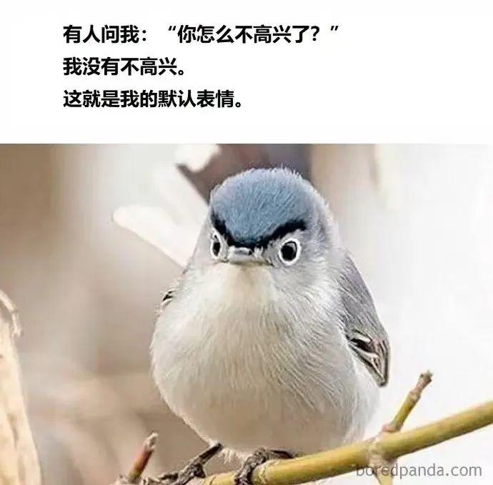 太热情了顶不住啊!社恐人狠狠地共鸣了 太热情了顶不住啊!社恐人狠狠地共鸣了