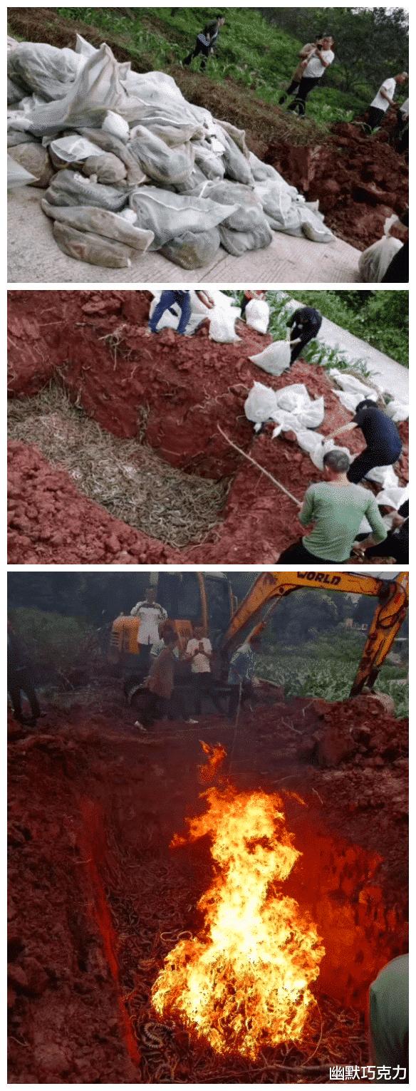 大哥怕是不行了,背是上午踩的,人是下午走的,席是中午吃的 大哥怕是不行了,背是上午踩的,人是下午走的,席是中午吃的