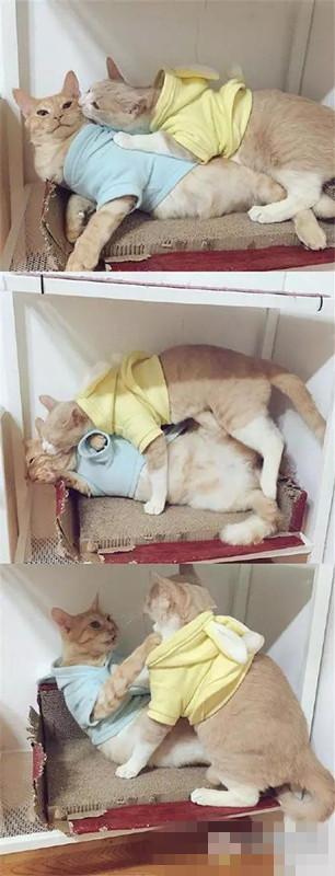 画面太美,不敢往下看了 画面太美,不敢往下看了