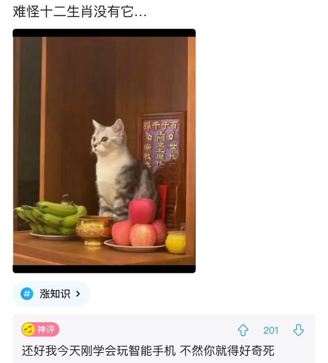 爆笑神评:老照片里为啥大家的头发都那么多? 爆笑神评:老照片里为啥大家的头发都那么多?