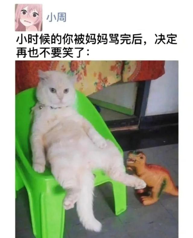 爆笑神评:老照片里为啥大家的头发都那么多? 爆笑神评:老照片里为啥大家的头发都那么多?