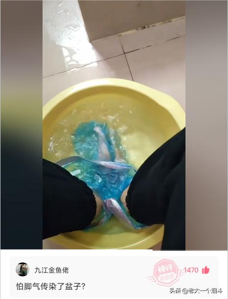 老鼠都得开导航吧?神回复:老鼠开导航都找不到出口 老鼠都得开导航吧?神回复:老鼠开导航都找不到出口