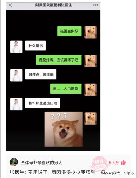 老鼠都得开导航吧?神回复:老鼠开导航都找不到出口 老鼠都得开导航吧?神回复:老鼠开导航都找不到出口