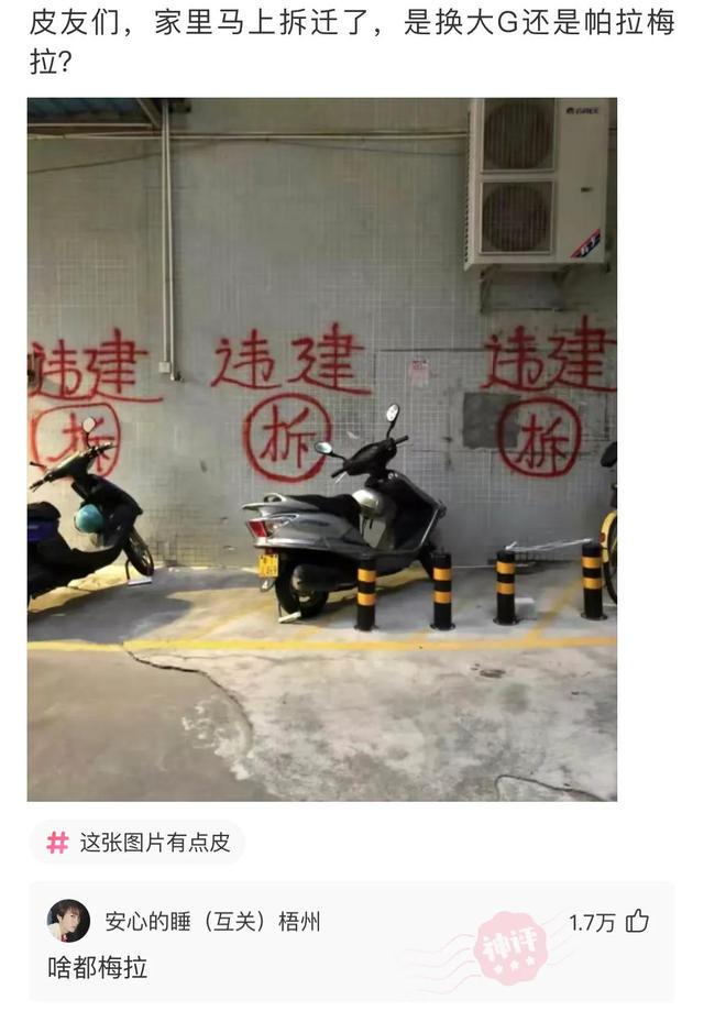 我爸捡的一块石头，人家出一千都没卖，好像一个出家人披着袈裟