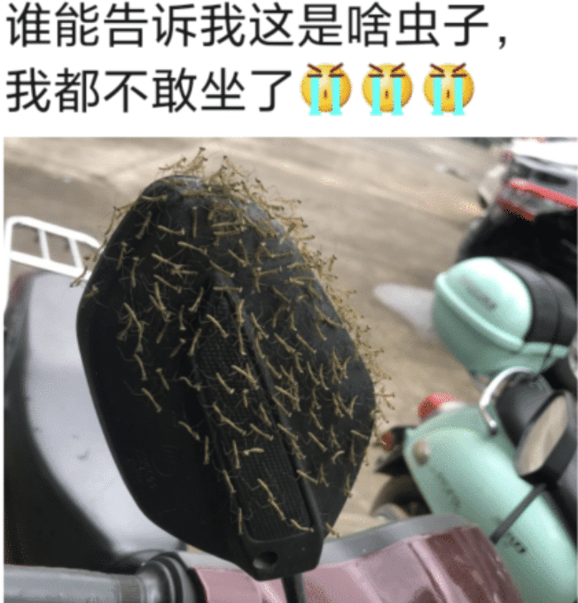 “趁老婆不在调戏她闺蜜,没想到真得手了?”想换老公就直说! “趁老婆不在调戏她闺蜜,没想到真得手了?”想换老公就直说!