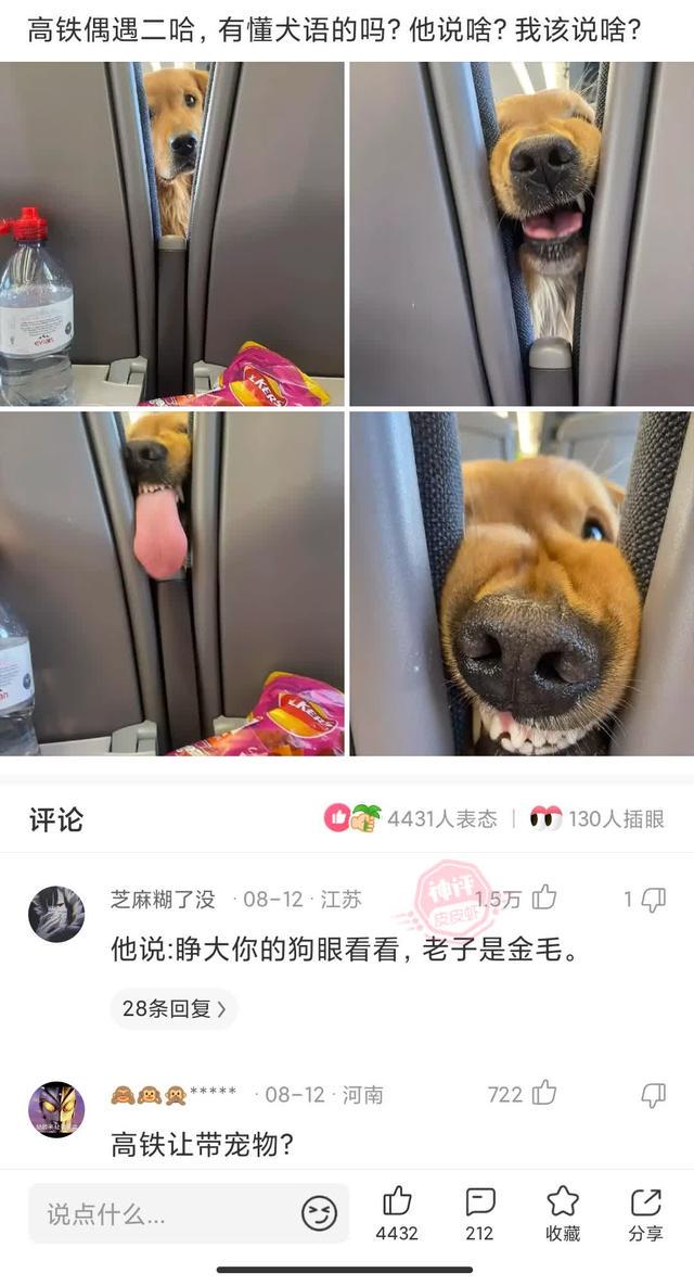 神评论:人不能为了尊严连钱都不要了 神评论:人不能为了尊严连钱都不要了