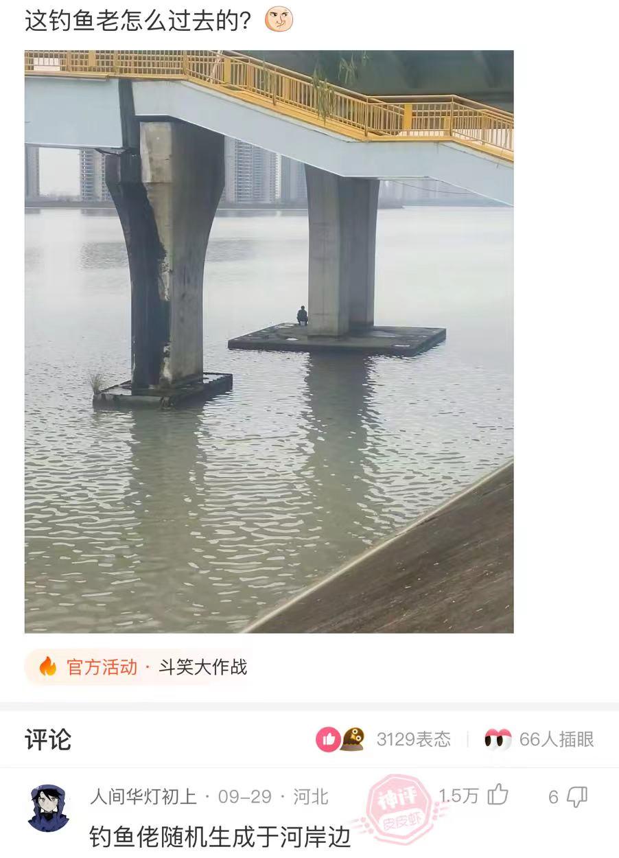轻松一秒:怪不得白居易说琵琶行!这琵琶是真的行 轻松一秒:怪不得白居易说琵琶行!这琵琶是真的行