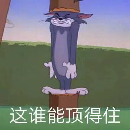 轻松一秒:怪不得白居易说琵琶行!这琵琶是真的行 轻松一秒:怪不得白居易说琵琶行!这琵琶是真的行