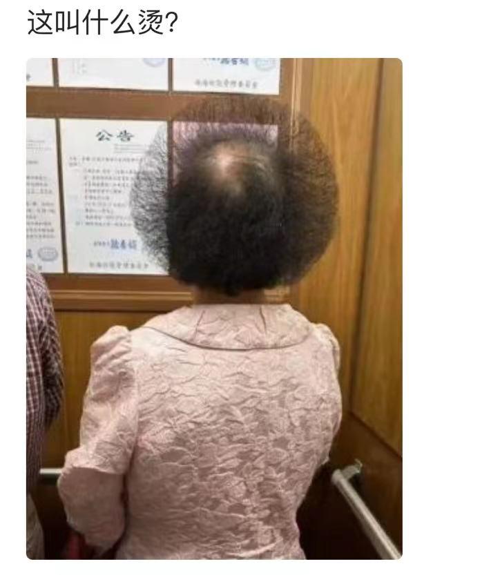 轻松一秒:怪不得白居易说琵琶行!这琵琶是真的行 轻松一秒:怪不得白居易说琵琶行!这琵琶是真的行