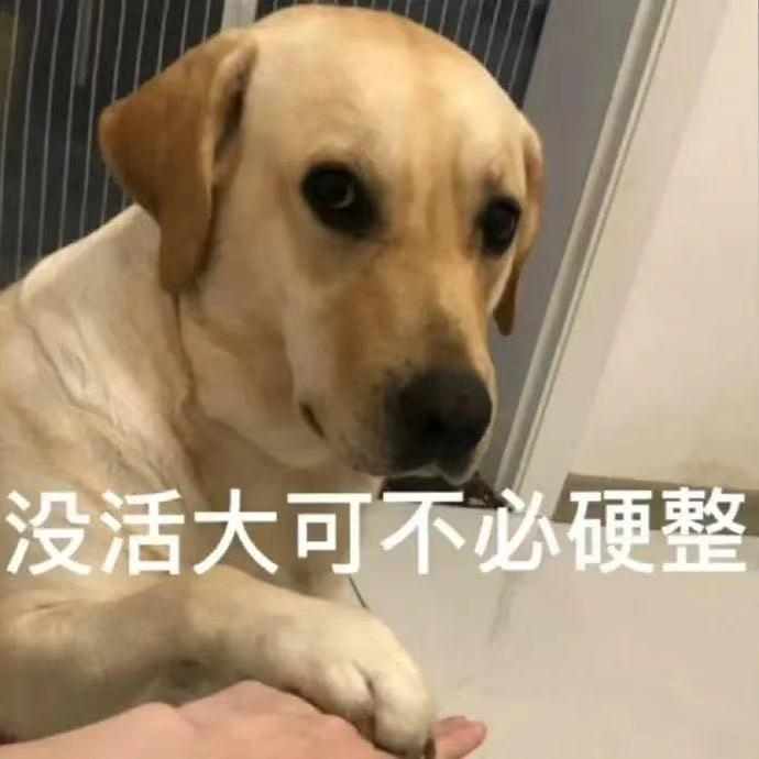 轻松一秒:怪不得白居易说琵琶行!这琵琶是真的行 轻松一秒:怪不得白居易说琵琶行!这琵琶是真的行