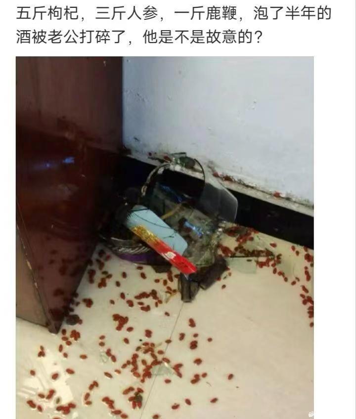 轻松一秒:高情商的人,连拒绝都让人觉得他体贴 轻松一秒:高情商的人,连拒绝都让人觉得他体贴