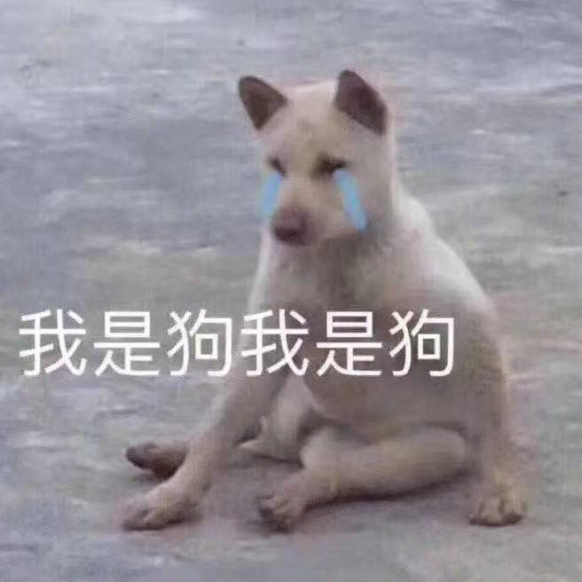 轻松一秒:高情商的人,连拒绝都让人觉得他体贴 轻松一秒:高情商的人,连拒绝都让人觉得他体贴