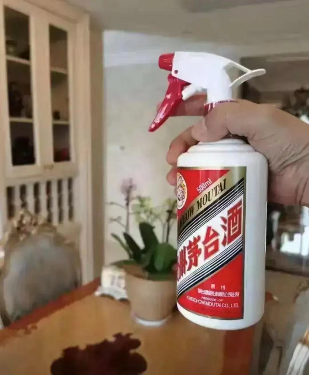 轻松一刻:又是羡慕学长的一天,可我只有五连鞭 轻松一刻:又是羡慕学长的一天,可我只有五连鞭