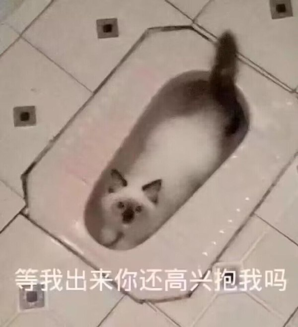 轻松一刻:又是羡慕学长的一天,可我只有五连鞭 轻松一刻:又是羡慕学长的一天,可我只有五连鞭