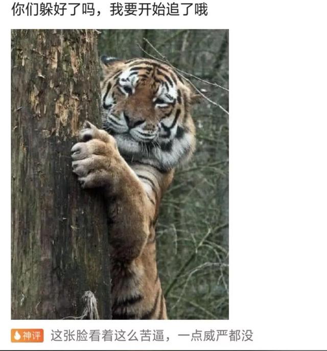 搞笑合集:大学生娶同学妈妈为妻,终于完成了对大学舍友的承诺 搞笑合集:大学生娶同学妈妈为妻,终于完成了对大学舍友的承诺