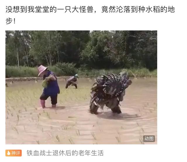 搞笑合集:大学生娶同学妈妈为妻,终于完成了对大学舍友的承诺 搞笑合集:大学生娶同学妈妈为妻,终于完成了对大学舍友的承诺