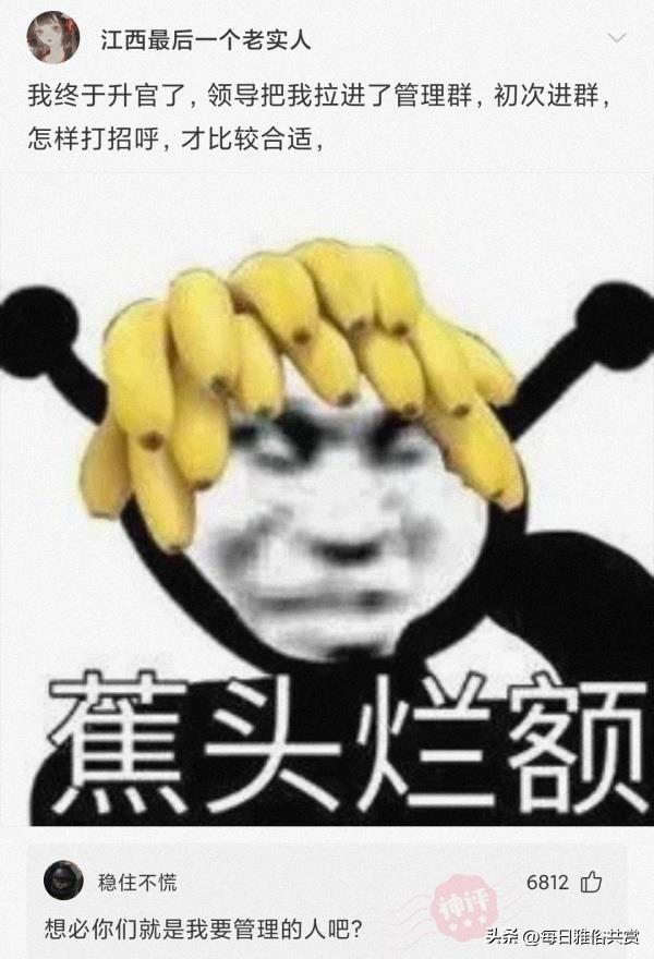 「盐选神回复」我怀疑他们就是懒,比我还懒 「盐选神回复」我怀疑他们就是懒,比我还懒