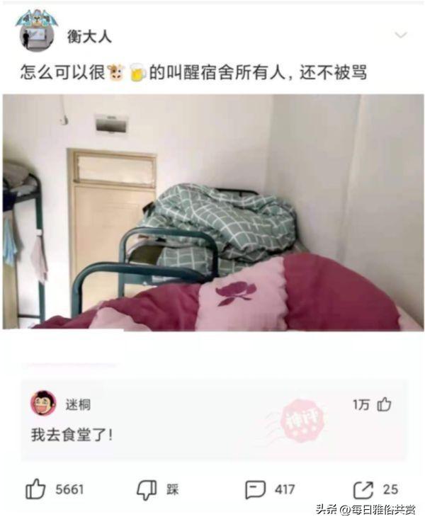 「盐选神回复」我怀疑他们就是懒,比我还懒 「盐选神回复」我怀疑他们就是懒,比我还懒