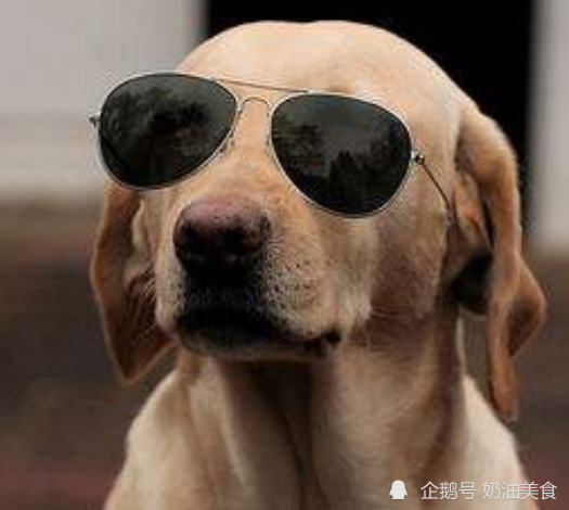 搞笑段子：女主管去相亲，碰到一个20岁的小鲜肉，可是人家！