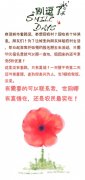 世间哪有真情在，还是农民最实在