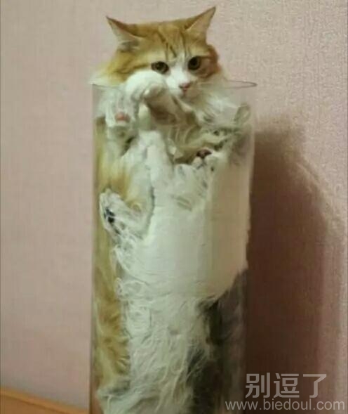 又到了你们秀身材的时候