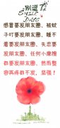 感冒要发朋友圈、被蚊子叮要发朋友圈