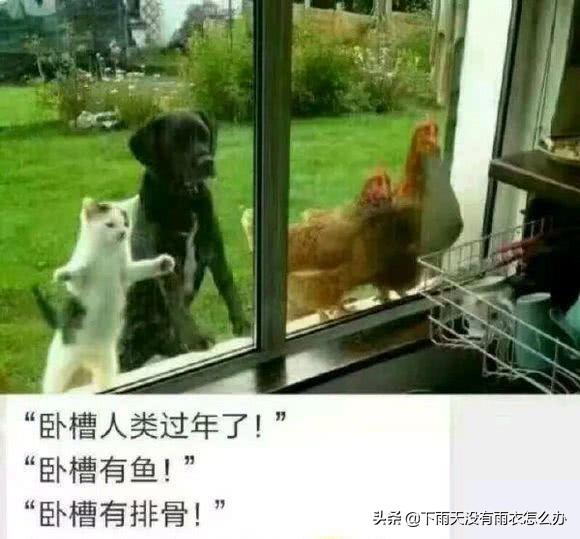 段子:丈母娘来吃饭,我下厨 段子:丈母娘来吃饭,我下厨