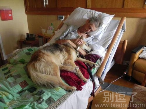 我们复合吧，转了一圈才发现你是最好的