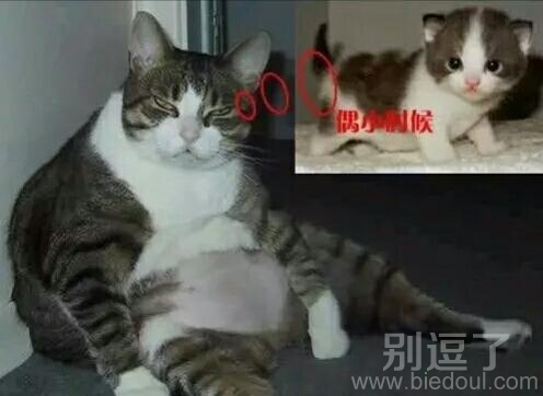 我也有过萌萌的童年