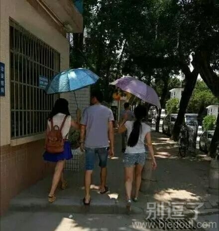 得到这么多美女的青睐