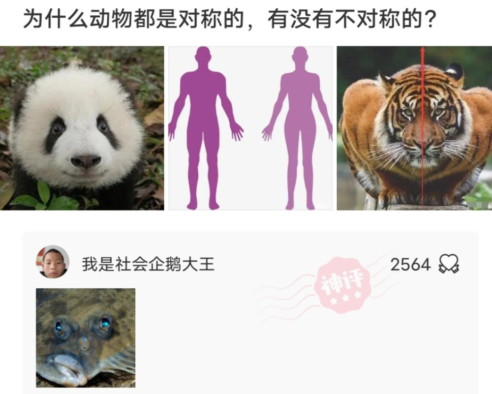 神回复:如何不带“累”字,用一句话形容你很累? 神回复:如何不带“累”字,用一句话形容你很累?