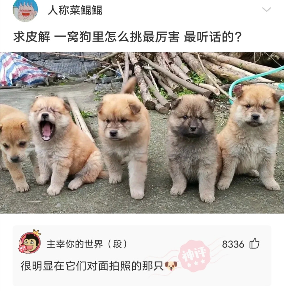 神回复:如何不带“累”字,用一句话形容你很累? 神回复:如何不带“累”字,用一句话形容你很累?