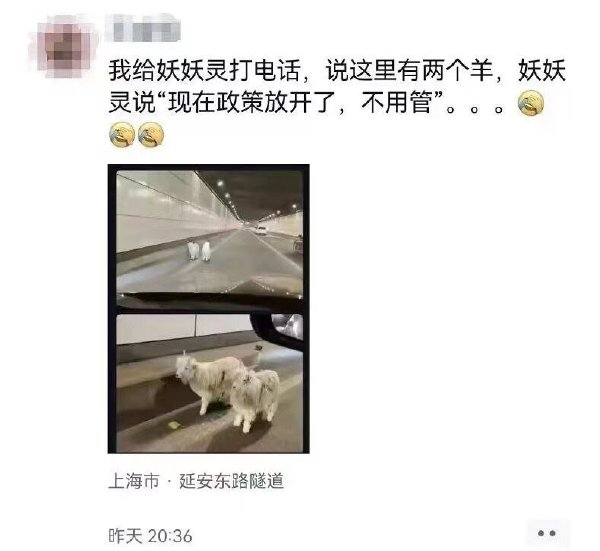 轻松一刻:网传最爽的治疗方法,是把病毒biu出来…… 轻松一刻:网传最爽的治疗方法,是把病毒biu出来……