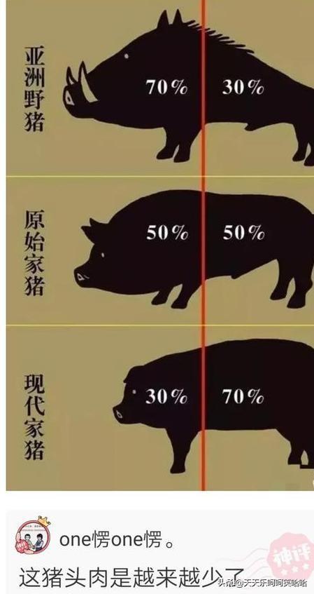用汉字能描述的最大的数是多少?官方也露头了,哈哈哈哈哈 用汉字能描述的最大的数是多少?官方也露头了,哈哈哈哈哈
