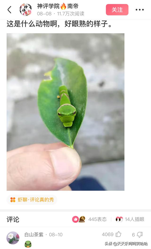 用汉字能描述的最大的数是多少?官方也露头了,哈哈哈哈哈 用汉字能描述的最大的数是多少?官方也露头了,哈哈哈哈哈