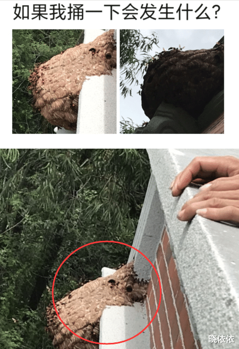 女朋友出差说睡在旅馆,但是网友却暗示我头上顶了青青草原? 女朋友出差说睡在旅馆,但是网友却暗示我头上顶了青青草原?