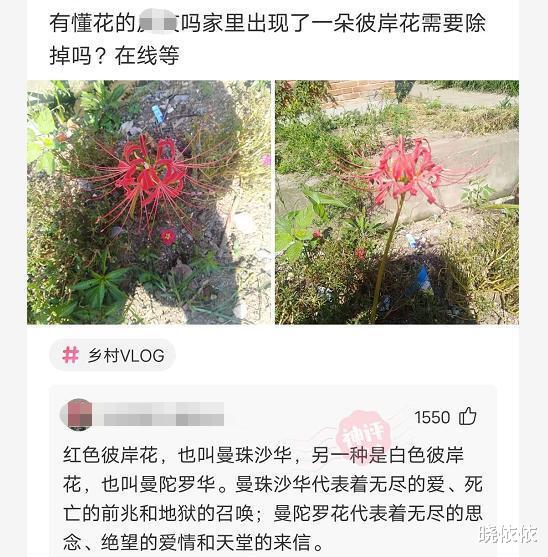 女朋友出差说睡在旅馆,但是网友却暗示我头上顶了青青草原? 女朋友出差说睡在旅馆,但是网友却暗示我头上顶了青青草原?