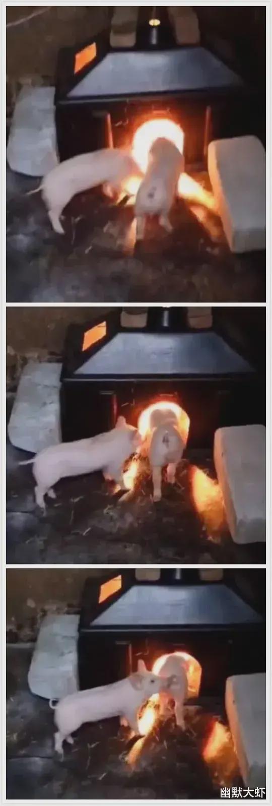 “前女友发照片跟我炫耀,说在路虎车里,怎么看着不像呢?”哈哈哈 “前女友发照片跟我炫耀,说在路虎车里,怎么看着不像呢?”哈哈哈
