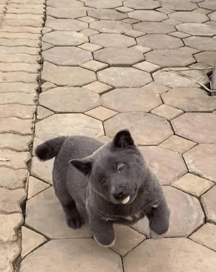 快递员在公司发飙：“我一月工资3万，会为你这2千礼品丢饭碗？”